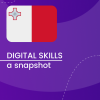 Visual for A snapshot of Digital Skills in Malta